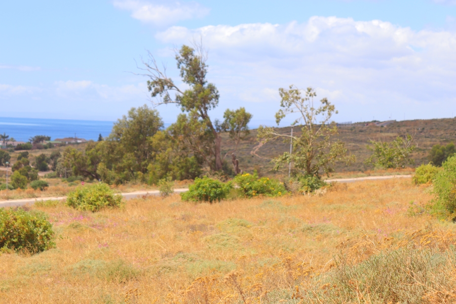 0 Bedroom Property for Sale in St Helena Views Western Cape
